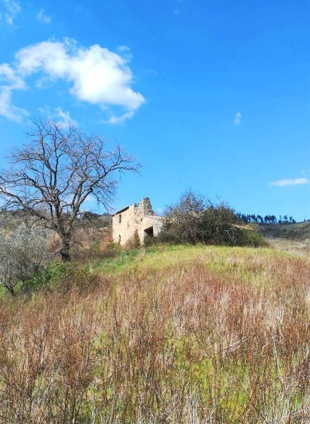 esavano in vendita a Pomarance in zona Libbiano