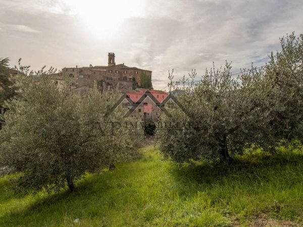 terreno agricolo in vendita a Pomarance in zona Montecerboli