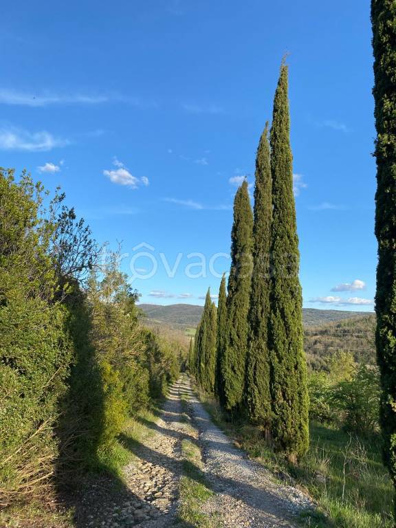 casa indipendente in vendita a Pomarance