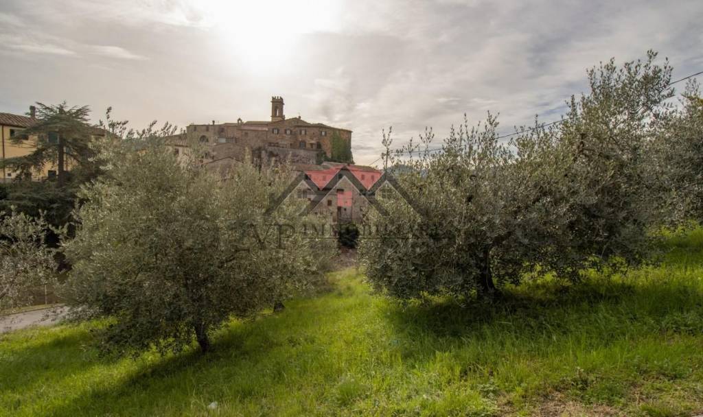 terreno agricolo in vendita a Pomarance in zona Montecerboli