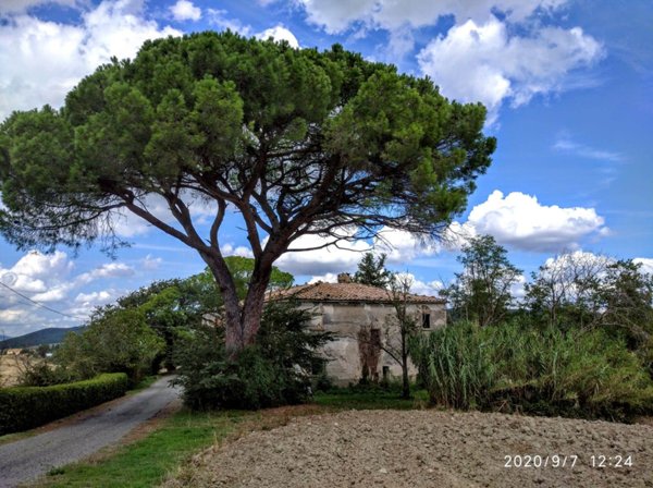 casa indipendente in vendita a Pomarance