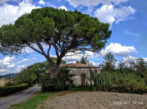 casale in vendita a Pomarance