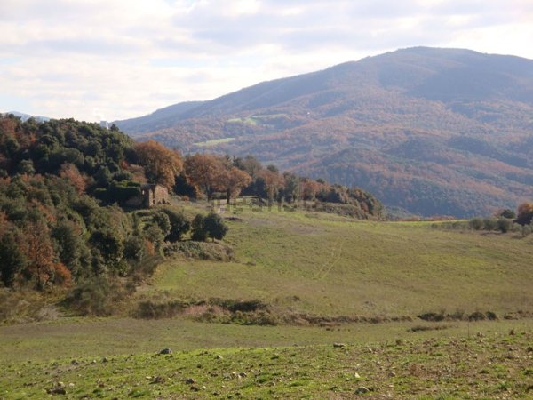 terreno agricolo in vendita a Pomarance in zona Serrazzano