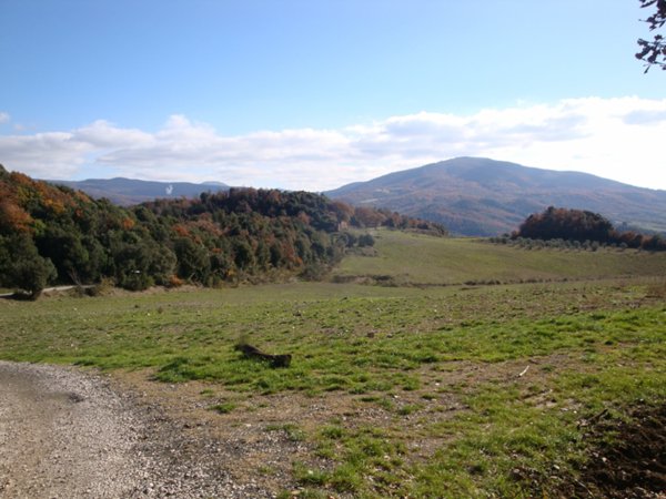 terreno agricolo in vendita a Pomarance in zona Serrazzano