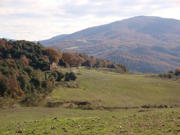 terreno agricolo in vendita a Pomarance in zona Serrazzano