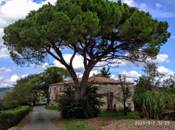 casa indipendente in vendita a Pomarance