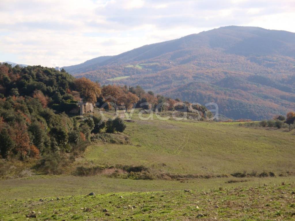 terreno agricolo in vendita a Pomarance in zona Serrazzano