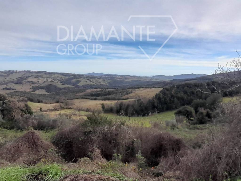 terreno agricolo in vendita a Pomarance