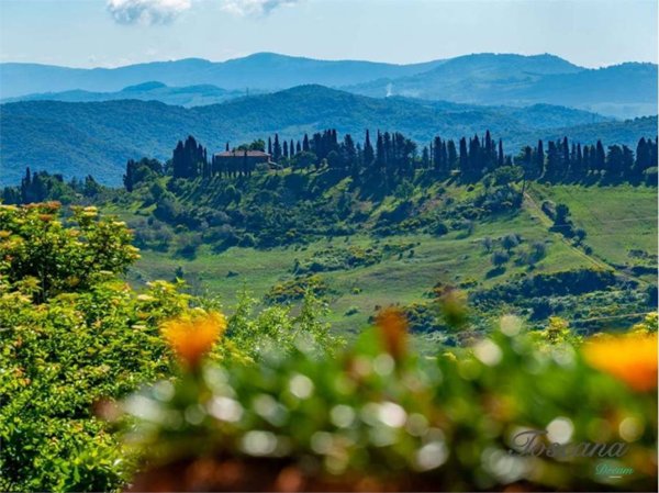 immagine annuncio 0 di 15