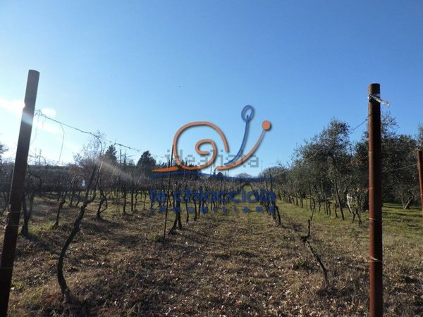 terreno in vendita a Pomarance