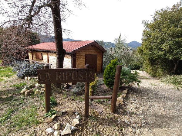 terreno in vendita a Pomarance in zona Micciano