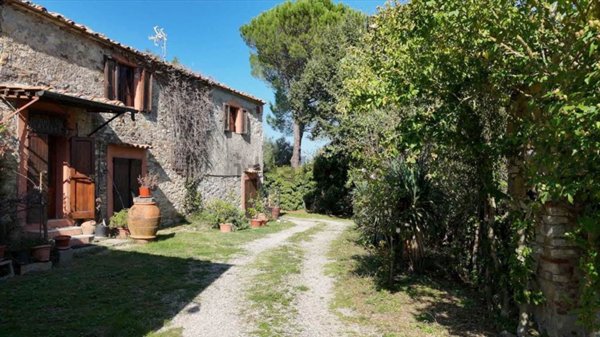 azienda agricola in vendita a Pomarance