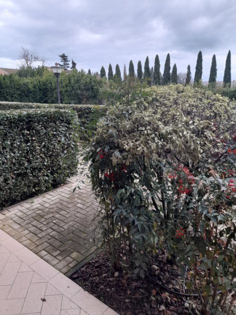 appartamento in vendita a Ponsacco