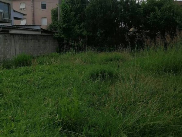 terreno agricolo in vendita a Ponsacco