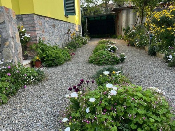 casa semindipendente in vendita a Ponsacco