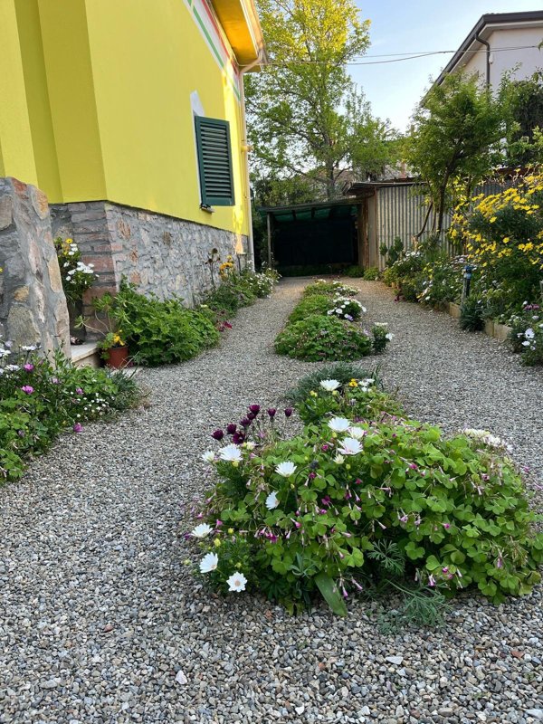 casa indipendente in vendita a Ponsacco