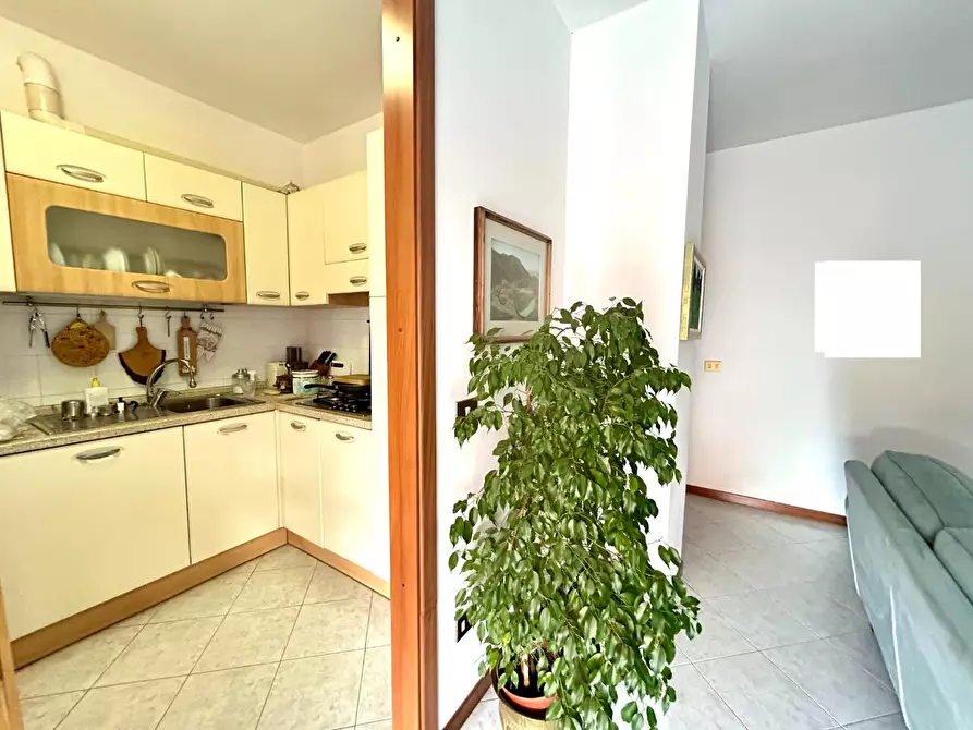 appartamento in vendita a Ponsacco