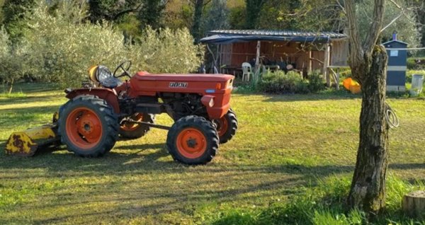 terreno agricolo in vendita a Ponsacco