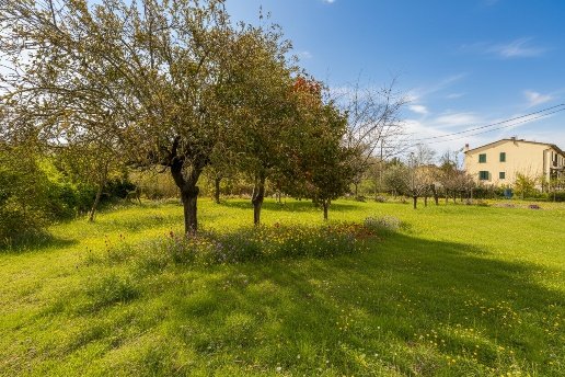appartamento in vendita a Ponsacco