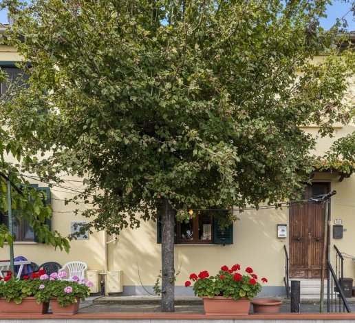 casa indipendente in vendita a Ponsacco