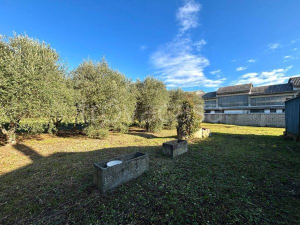 terreno agricolo in vendita a Ponsacco