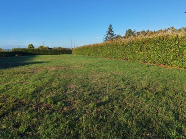 terreno agricolo in vendita a Ponsacco