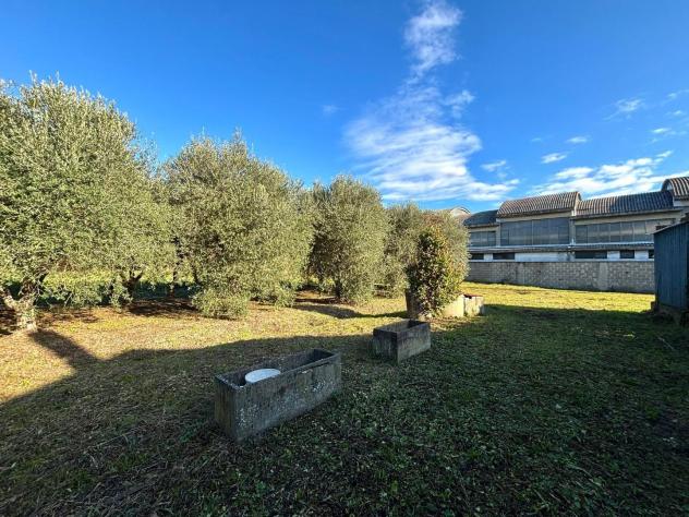 terreno agricolo in vendita a Ponsacco