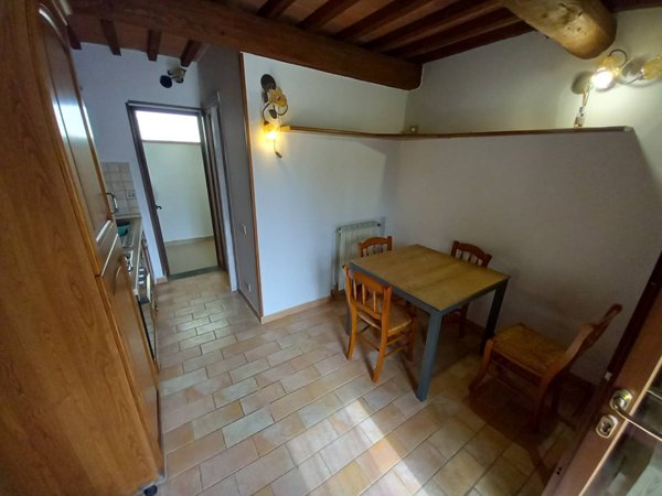 casa indipendente in vendita a Ponsacco in zona Camugliano