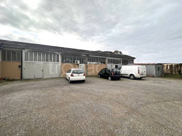 appartamento in vendita a Ponsacco