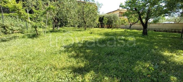 casa indipendente in vendita a Ponsacco