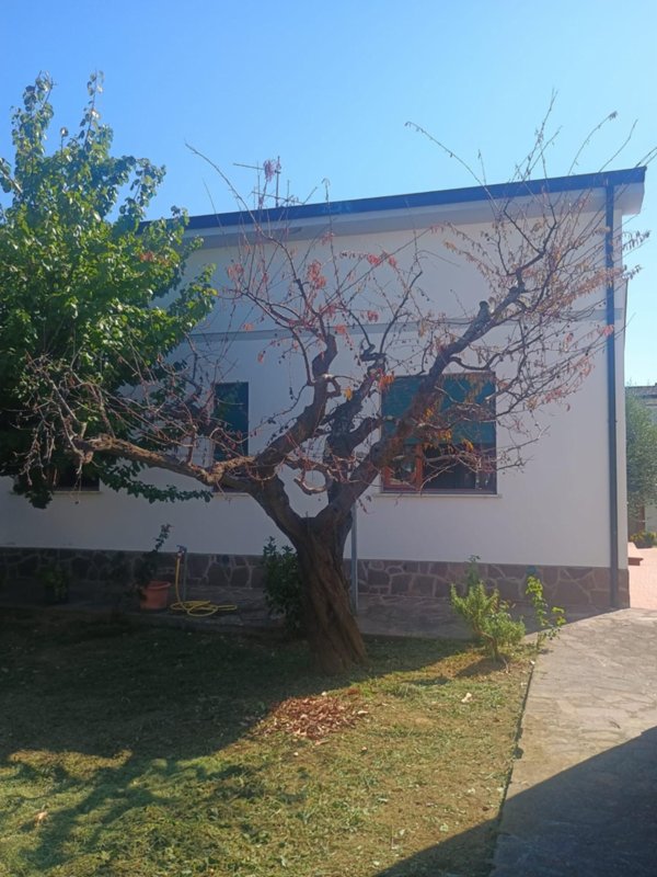 casa indipendente in vendita a Ponsacco