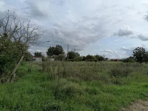 terreno in vendita a Ponsacco