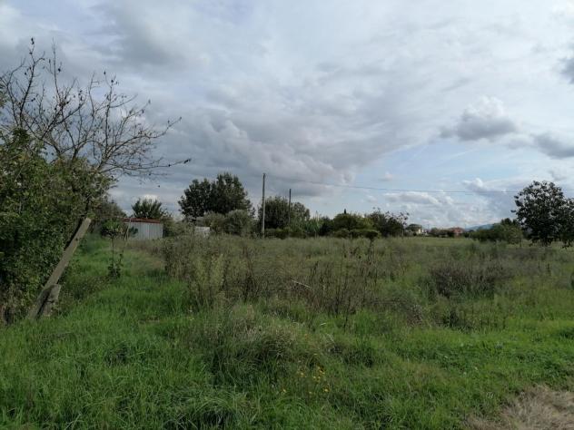 terreno in vendita a Ponsacco