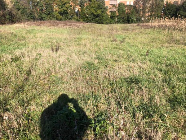 terreno agricolo in vendita a Pontedera
