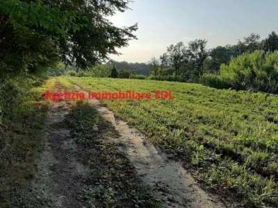 appartamento in vendita a Pontedera