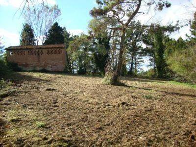casa indipendente in vendita a Pontedera in zona Il Romito
