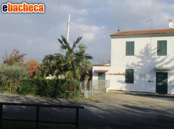 appartamento in vendita a Pontedera