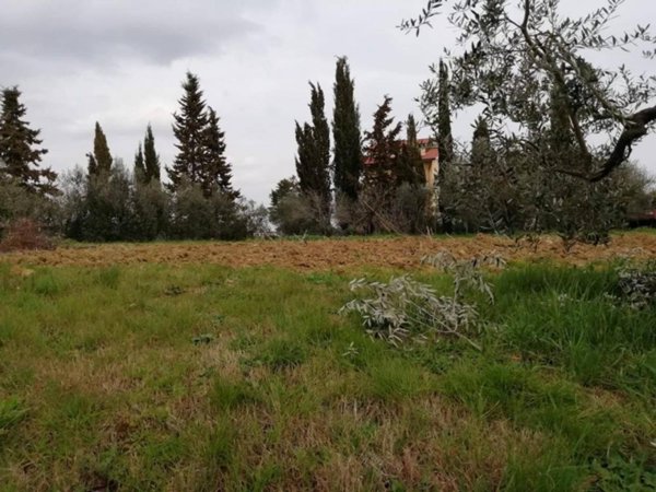 terreno edificabile in vendita a Pontedera in zona Il Romito