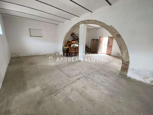 azienda agricola in vendita a Pontedera in zona I Fabbri
