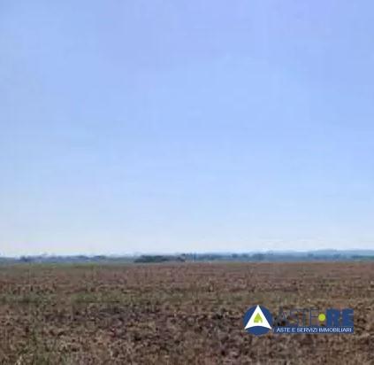 appartamento in vendita a Pontedera