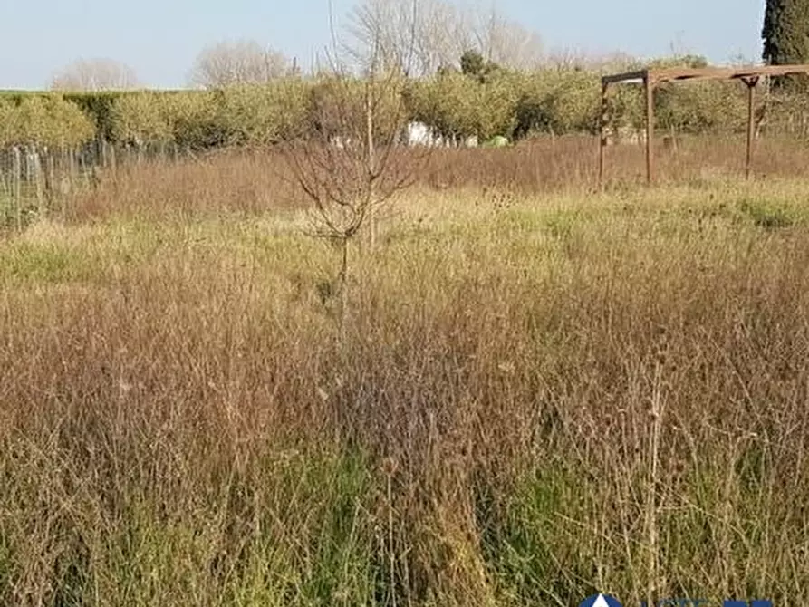 terreno agricolo in vendita a Pontedera