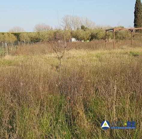 terreno agricolo in vendita a Pontedera