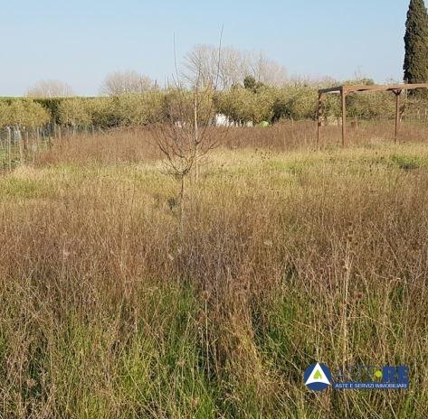 appartamento in vendita a Pontedera