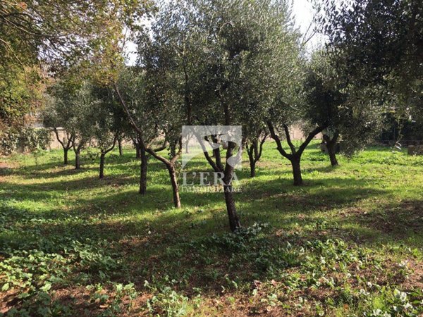 terreno edificabile in vendita a Pontedera in zona La Borra