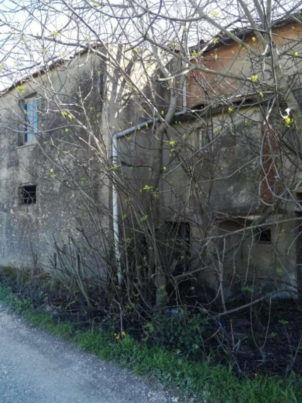locale di sgombero in vendita a Pontedera