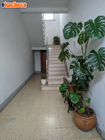 appartamento in vendita a Pontedera in zona Pietroconti