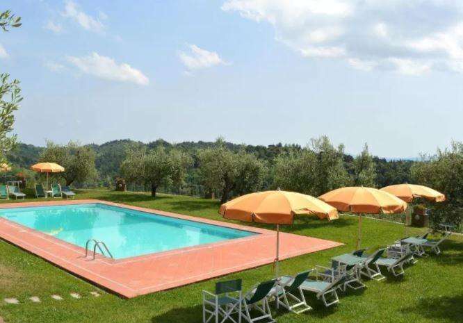 azienda agricola in vendita a Pontedera in zona Montecastello