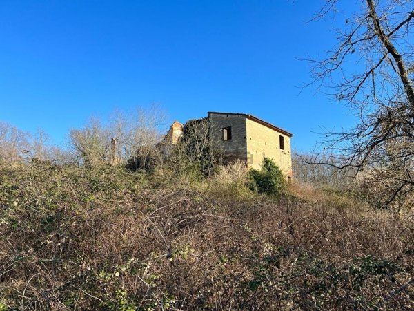 terreno agricolo in vendita a Pontedera