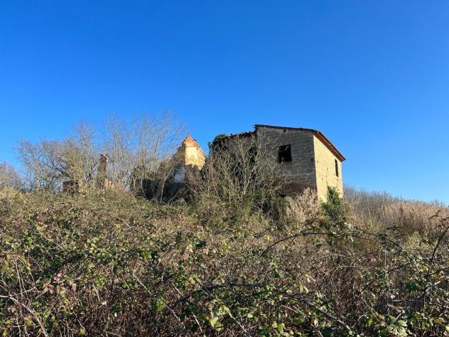 terreno agricolo in vendita a Pontedera