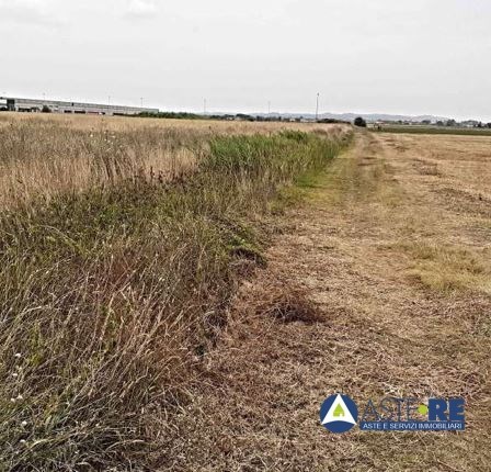 terreno agricolo in vendita a Pontedera